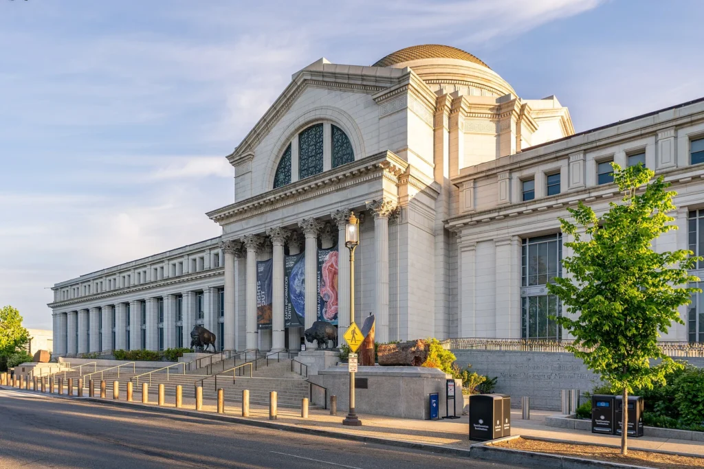 National Museum of Natural History in Washington DC, one of the top Things to Do in Washington DC for families and visitors.