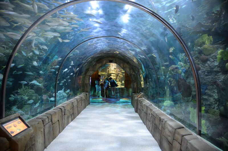Audubon Aquarium of the Americas