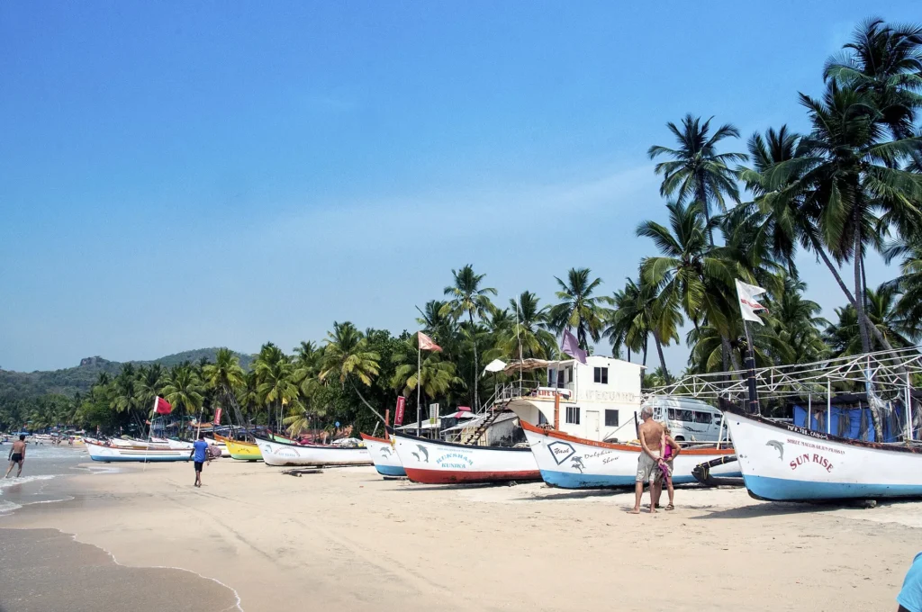 Palolem Beach in Goa with palm-lined shores and clear waters, one of the top Things to Do in Goa for beach lovers.