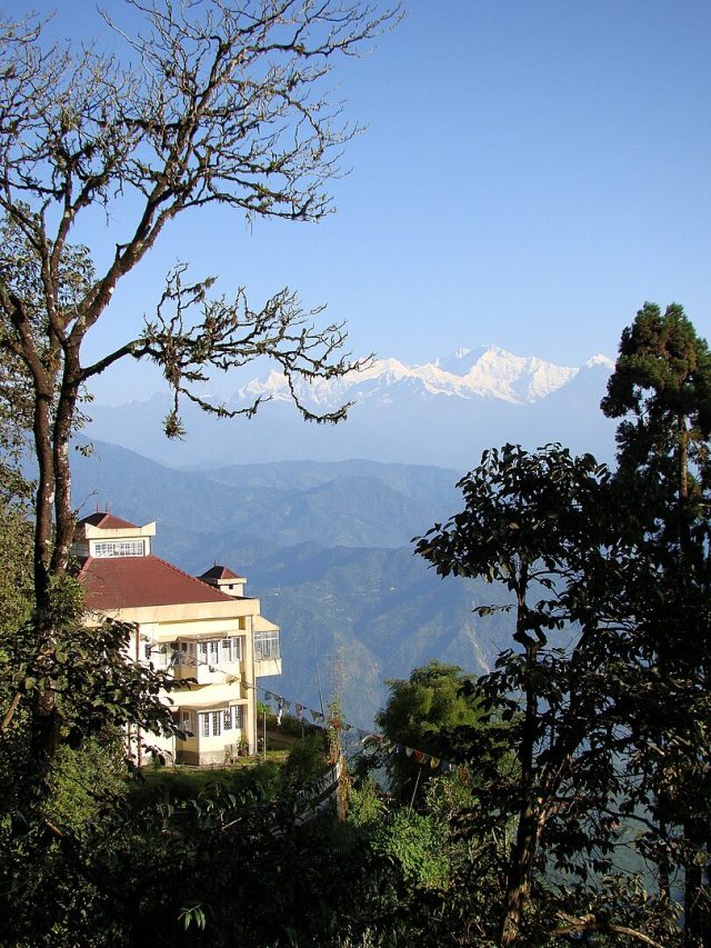 Darjeeling Delights: Top 10 Places to Visit in Darjeeling