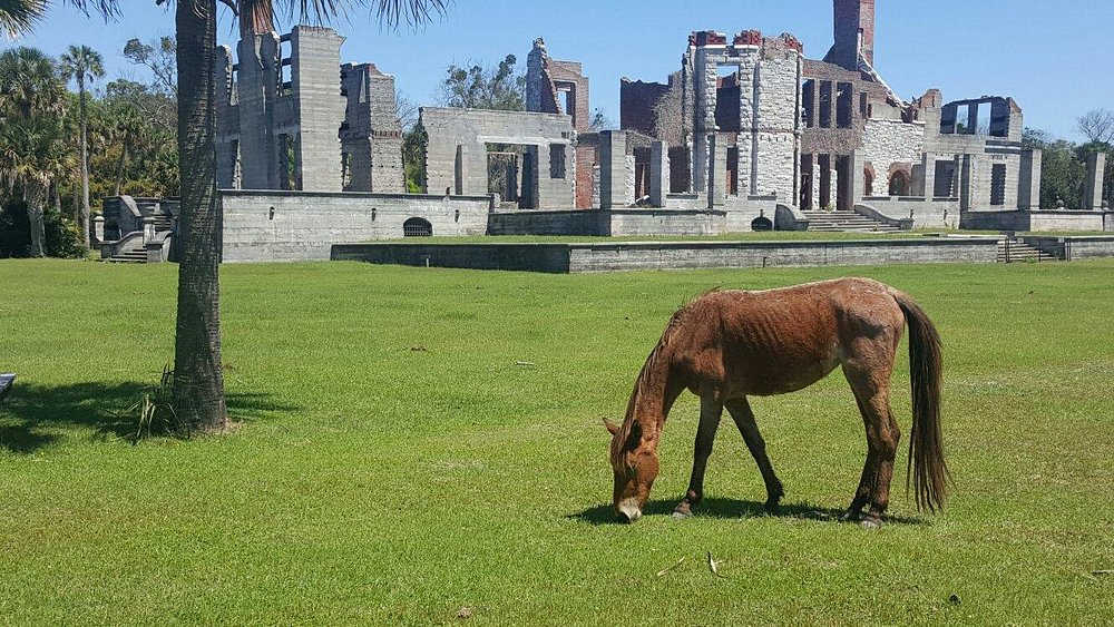 Cumberland Island National Seashore
