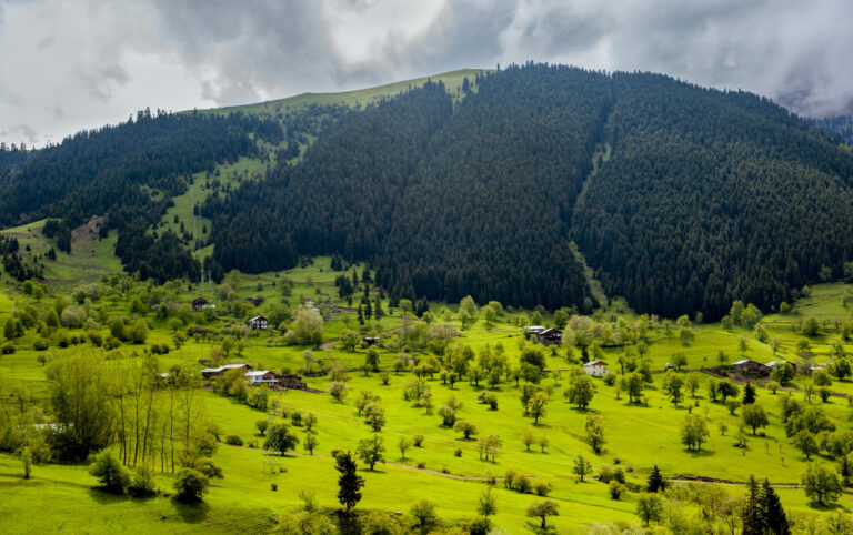 Hill Stations Near Delhi