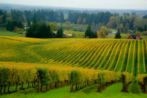 Willamette Valley