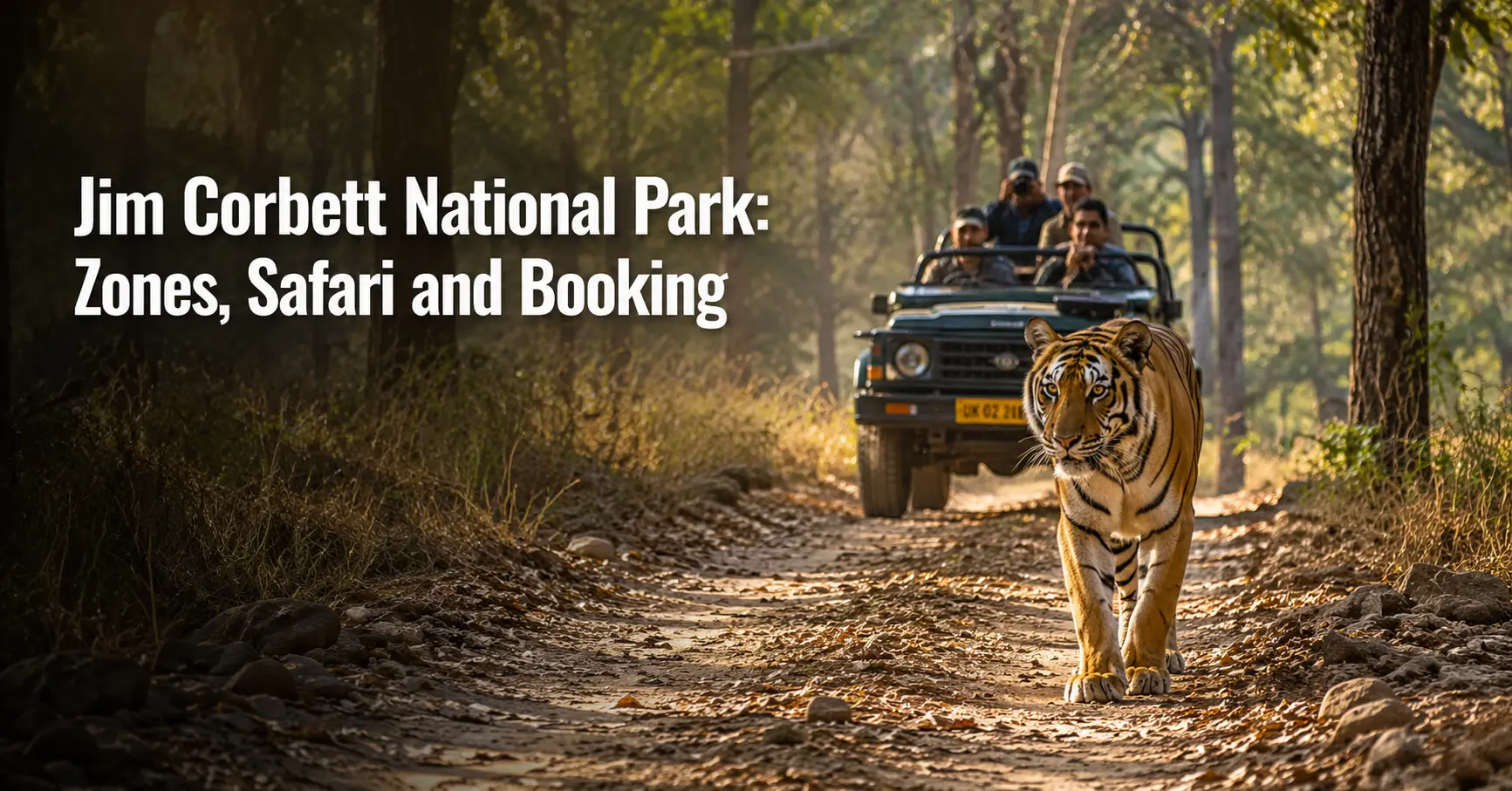 Jim Corbett National Park zones, safari routes, wildlife sightings, and booking information for visitors