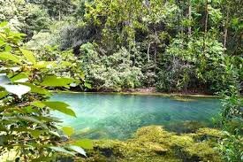 Reserve Forest Sanctuary-Best Places to Visit in Shimla