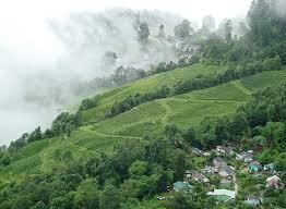 darjeeling-9 Best Places to Visit in Summer Vacation in India