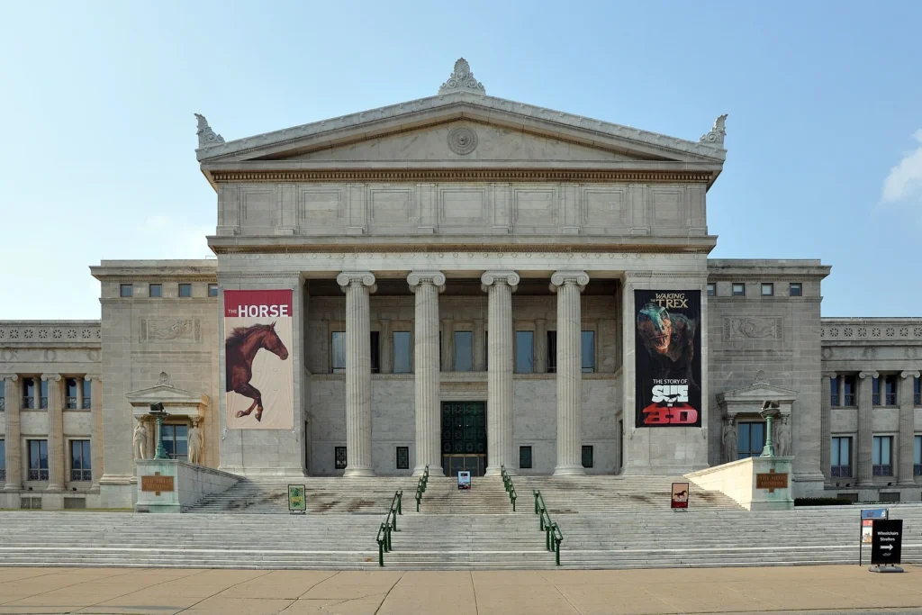 Visitors exploring the Field Museum in Chicago, one of the best things to do in Chicago, featuring world-famous exhibits, dinosaur fossils, and interactive displays in a historic museum setting