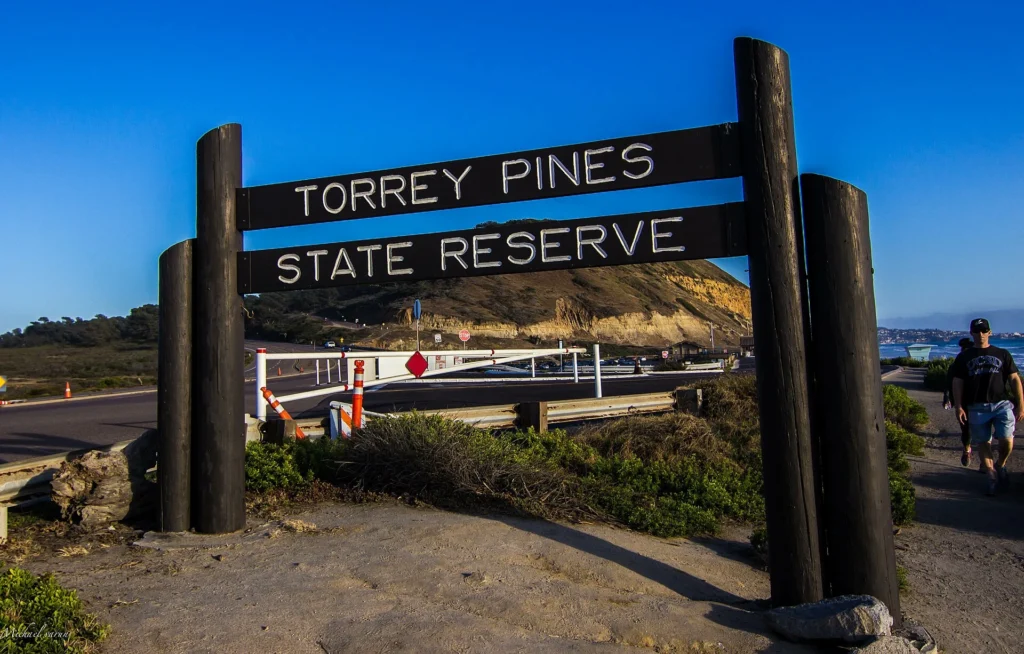 Torrey Pines State Reserve trail with ocean cliffs, a top Things to Do in San Diego for hiking, coastal views, and nature.