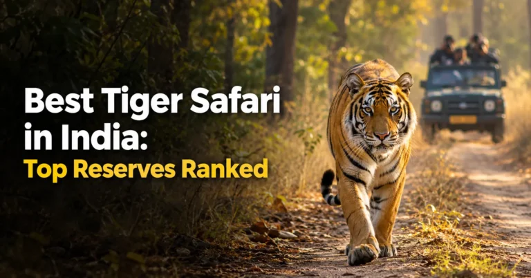 Best Tiger Safari in India: Top reserves ranked for tiger sightings and wildlife experiences