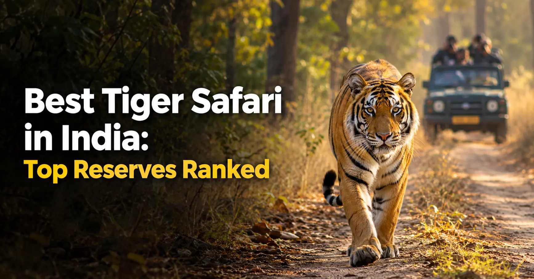 Best Tiger Safari in India: Top reserves ranked for tiger sightings and wildlife experiences