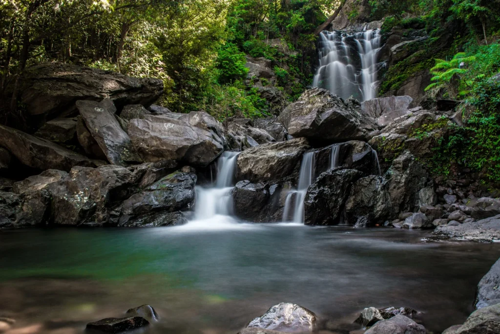 Road Trips from Hyderabad featuring scenic routes to Coorg, Wayanad, Munnar and Chikmagalur
