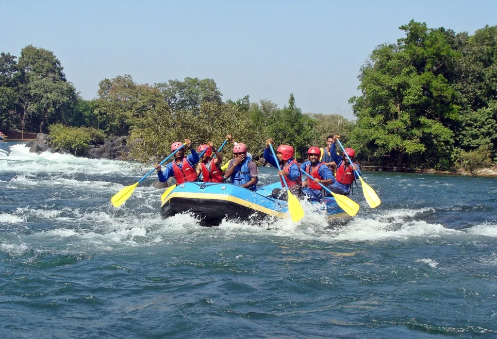 Road Trips from Hyderabad to Dandeli, Karnataka, with scenic roads through lush South Indian landscapes
