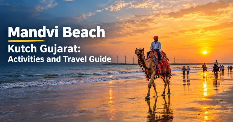 Mandvi Beach Kutch Gujarat with camel rides, golden sands, Arabian Sea views, and activities for travelers