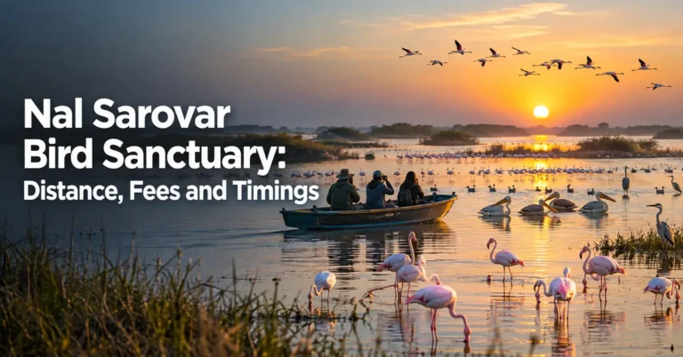 Nal Sarovar Bird Sanctuary: distance, entry fees and timings for visiting the famous bird sanctuary in Gujarat.