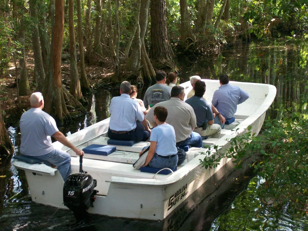 Okefenokee Swamp boat tour, one of the best Things to Do in Kingsland, Georgia, through scenic wetlands