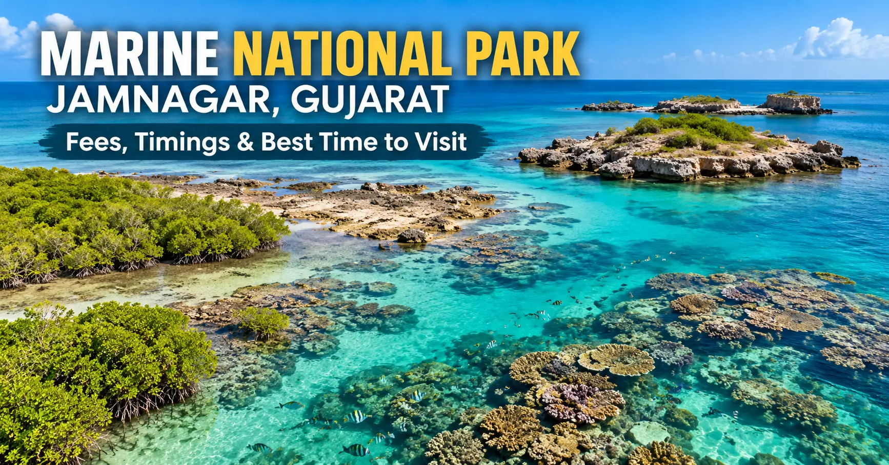 Marine National Park Jamnagar, Gujarat, featuring coral reefs and turquoise seawater.