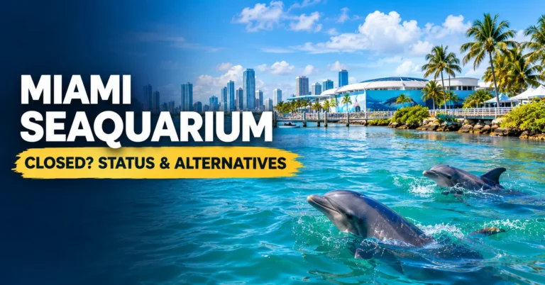 Miami Sea Aquarium: Is It Closed? Status and Alternatives