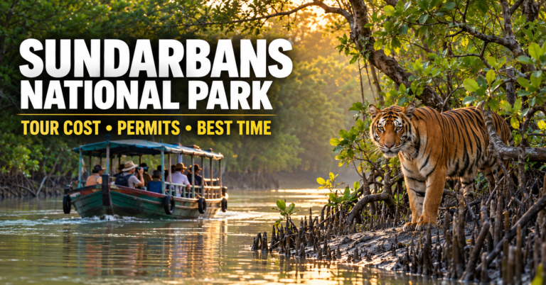 Sundarbans National Park Tour Cost, Permits and Best Time